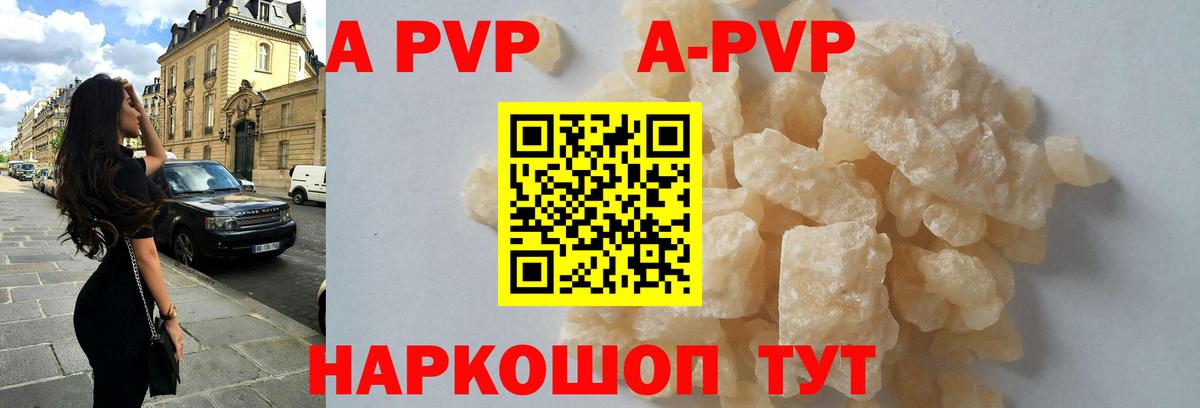 A PVP СК КРИС Светлоград